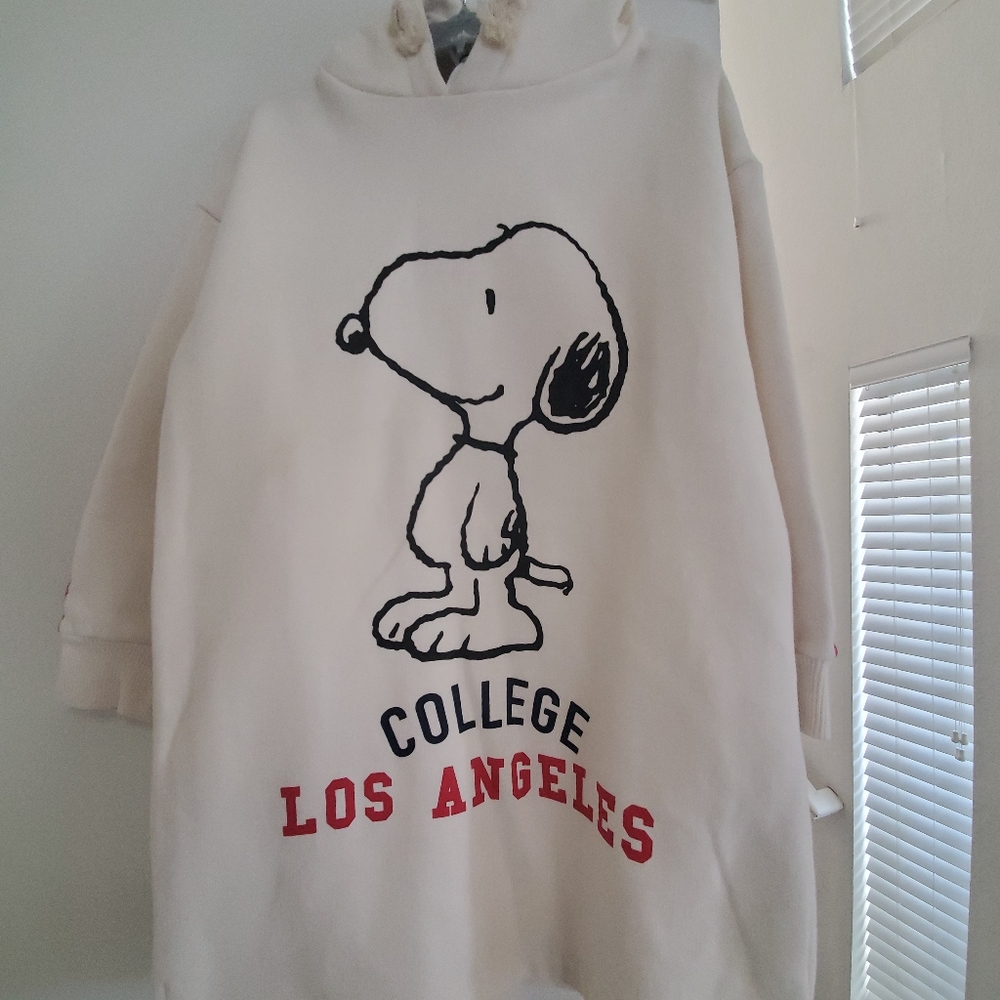 Zara Snoopy Sweater Dress